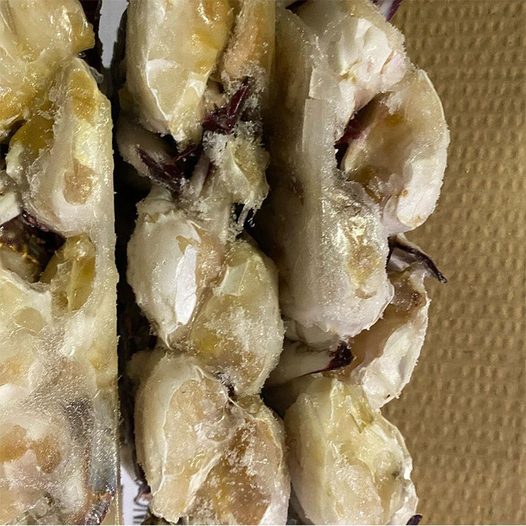 Frozen Cut Swimming Crab Frozen Cut Swimming Crab