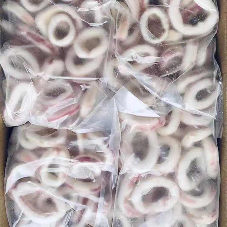 Frozen Indian Ocean Squid Ring Skin On Frozen Indian Ocean Squid Ring Skin On