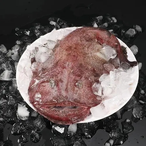 Frozen Monkfish Gutted Frozen Monkfish Gutted