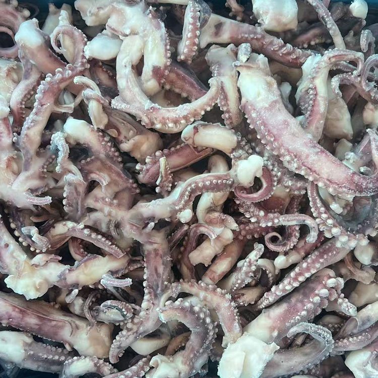 Frozen Squid Tentacle Frozen Squid Tentacle